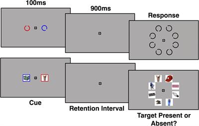 Neural Processing of Repeated Search Targets Depends Upon the Stimuli: Real World Stimuli Engage Semantic Processing and Recognition Memory